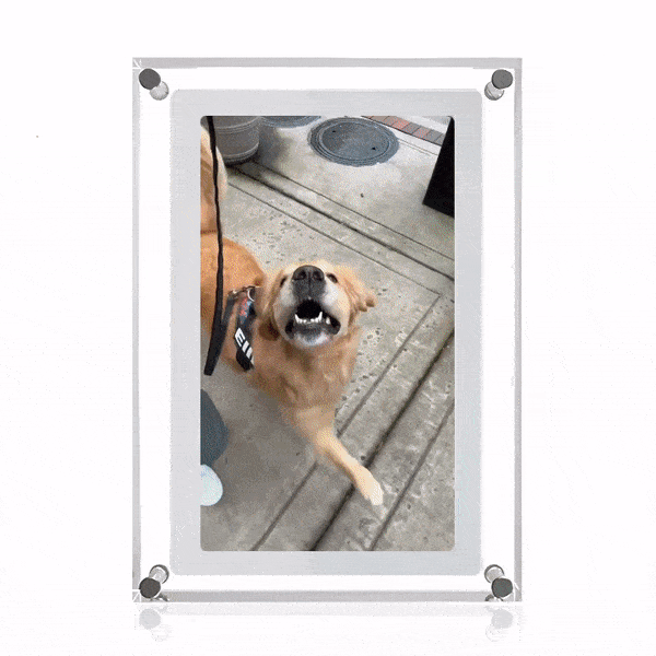 MomentFrame Digital Frame